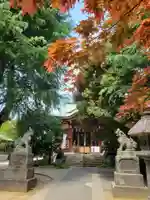 青山熊野神社の本殿・本堂