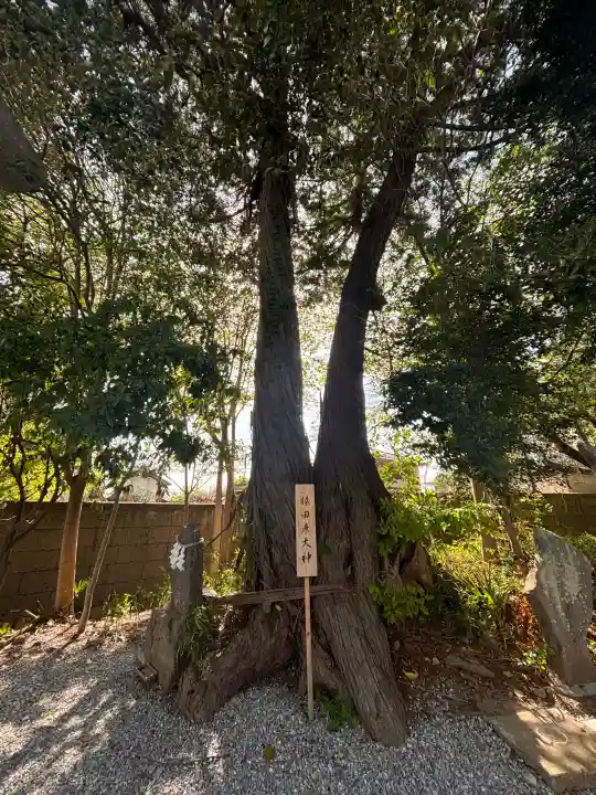 星宮神社の{uncategorized: "未分類", other: "その他", undefined: "問題あり", building: "その他建物", grave: "お墓", sacred_gate: "鳥居", guardian: "狛犬", statue: "像", buddha: "仏像", history: "歴史", nature: "自然", garden: "庭園", animal: "動物", pagoda: "塔", temizu: "手水舎", mountain_gate: "山門・神門", sanctuary: "本殿・本堂", subordinate: "末社・摂社", art: "芸術", scenery: "景色", jizo: "地蔵", ema: "絵馬", goshuin: "御朱印", omikuji: "おみくじ", items: "授与品その他", amulet: "お守り", goshuincho: "御朱印帳", eats: "食事", festival: "お祭り", votive_dance: "神楽", shichigosan: "七五三参", wedding: "結婚式", experience: "体験その他", initially: "初詣", around: "周辺", anti_infection: "感染症対策"}