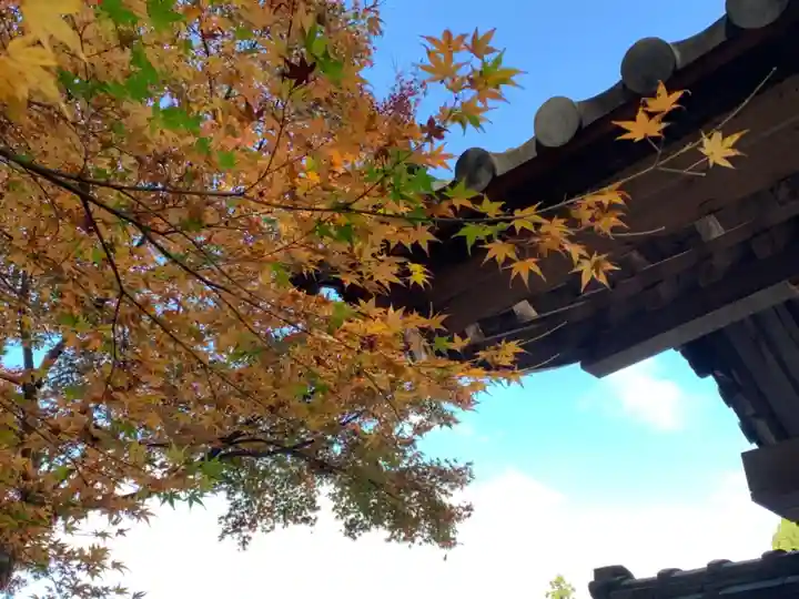 百済寺のその他建物