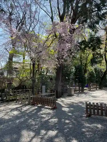 大國魂神社(東京都)