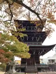 飛騨国分寺の建物その他