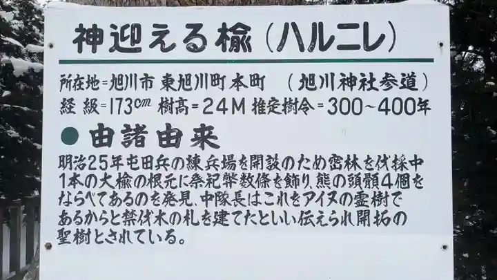 旭川神社の歴史