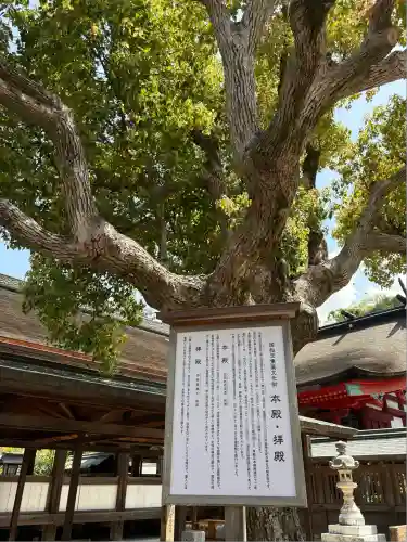 宗像大社(福岡県)