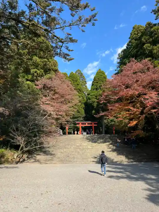 霧島神宮(鹿児島県)