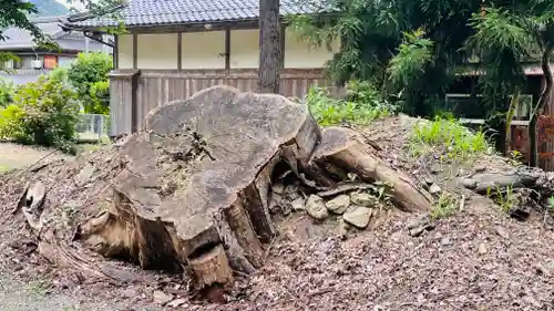 日枝神社(福井県)