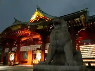 神田神社（神田明神）の狛犬