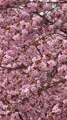春日神社(京都府)