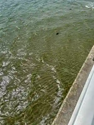 八百富神社(愛知県)