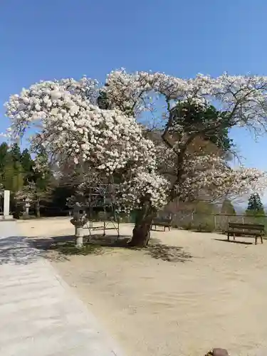 赤井嶽薬師 常福寺の自然