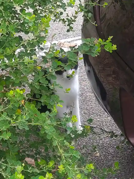 鴻八幡宮の周辺