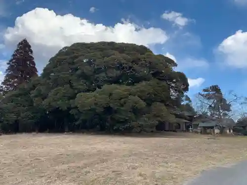 熊野神社(千葉県)