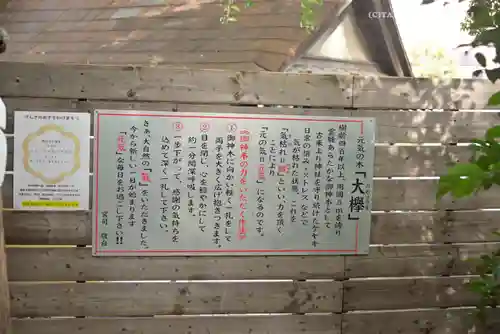 鎮守氷川神社のその他建物