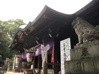 大宮八幡宮の本殿・本堂
