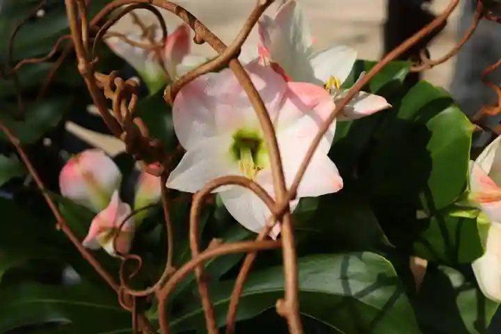 三津厳島神社(愛媛県)