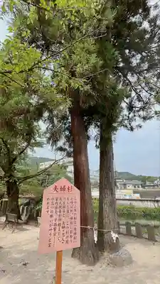 與止日女神社(佐賀県)