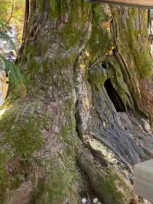 大神神社(奈良県)