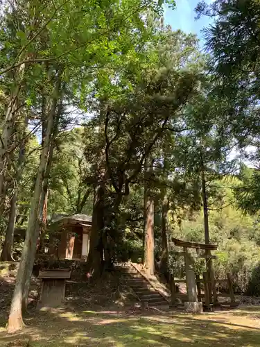 熊野神社の鳥居