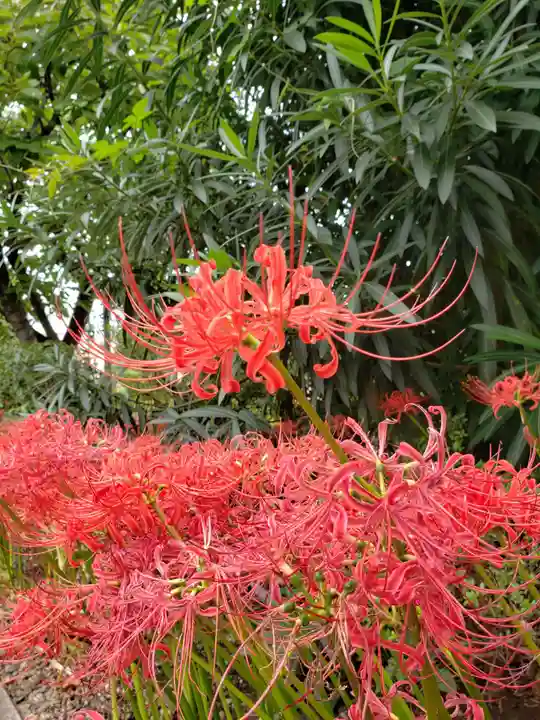 福寿院(東京都)