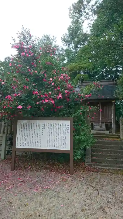 中嶋神社(兵庫県)