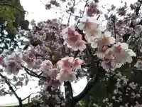 宮地嶽神社の自然