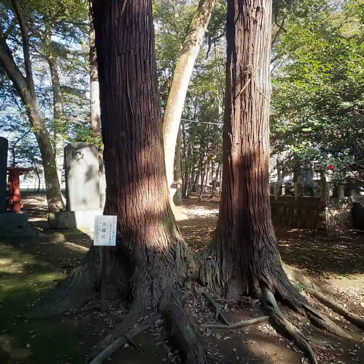 東蕗田天満社の自然