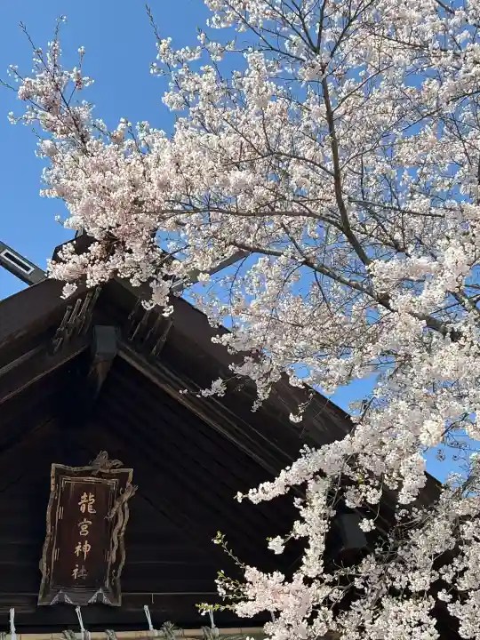 龍宮神社の{uncategorized: "未分類", other: "その他", undefined: "問題あり", building: "その他建物", grave: "お墓", sacred_gate: "鳥居", guardian: "狛犬", statue: "像", buddha: "仏像", history: "歴史", nature: "自然", garden: "庭園", animal: "動物", pagoda: "塔", temizu: "手水舎", mountain_gate: "山門・神門", sanctuary: "本殿・本堂", subordinate: "末社・摂社", art: "芸術", scenery: "景色", jizo: "地蔵", ema: "絵馬", goshuin: "御朱印", omikuji: "おみくじ", items: "授与品その他", amulet: "お守り", goshuincho: "御朱印帳", eats: "食事", festival: "お祭り", votive_dance: "神楽", shichigosan: "七五三参", wedding: "結婚式", experience: "体験その他", initially: "初詣", around: "周辺", anti_infection: "感染症対策"}