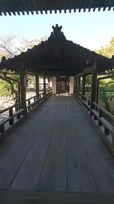 妙顯寺(妙顕寺)の本殿・本堂