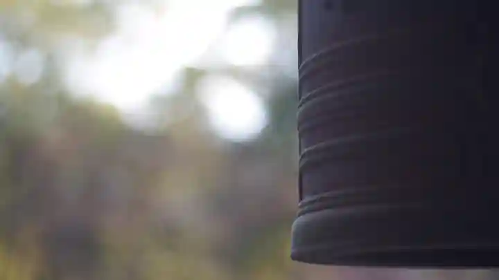 廬山寺(廬山天台講寺)(京都府)