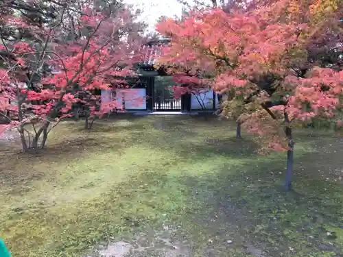 承天寺の庭園