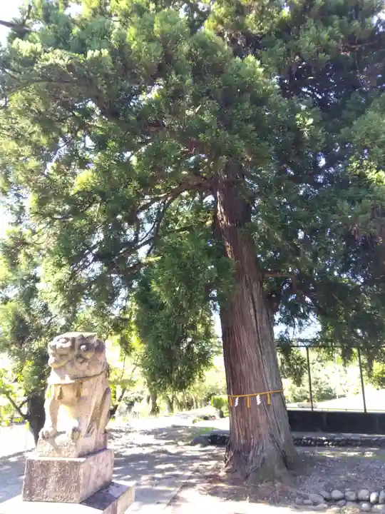 日枝神社(富山県)