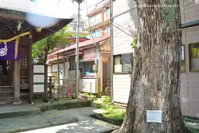 子神社(神奈川県)