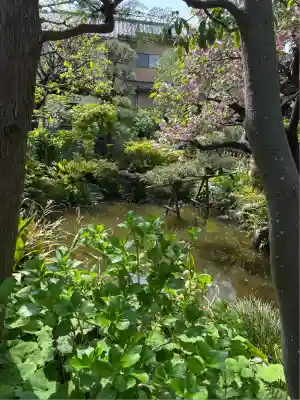 蟠龍寺(東京都)