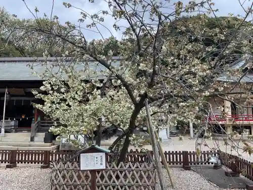 上地八幡宮(愛知県)