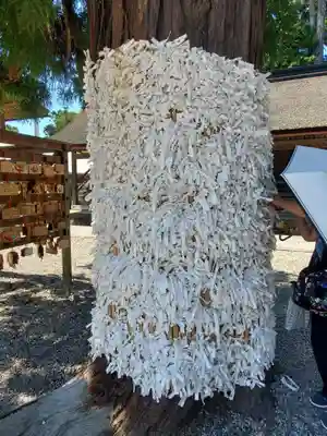 出雲大社(島根県)