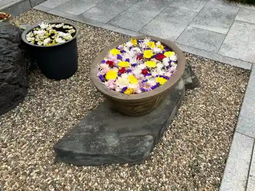 覚源院の御朱印