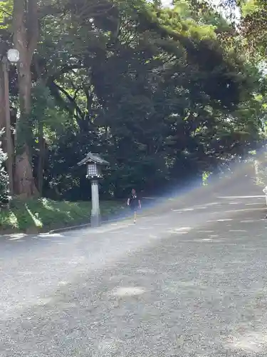 明治神宮(東京都)