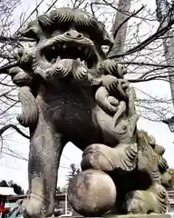 神炊館神社 ⁂奥州須賀川総鎮守⁂の狛犬