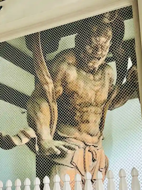 総持寺の{uncategorized: "未分類", other: "その他", undefined: "問題あり", building: "その他建物", grave: "お墓", sacred_gate: "鳥居", guardian: "狛犬", statue: "像", buddha: "仏像", history: "歴史", nature: "自然", garden: "庭園", animal: "動物", pagoda: "塔", temizu: "手水舎", mountain_gate: "山門・神門", sanctuary: "本殿・本堂", subordinate: "末社・摂社", art: "芸術", scenery: "景色", jizo: "地蔵", ema: "絵馬", goshuin: "御朱印", omikuji: "おみくじ", items: "授与品その他", amulet: "お守り", goshuincho: "御朱印帳", eats: "食事", festival: "お祭り", votive_dance: "神楽", shichigosan: "七五三参", wedding: "結婚式", experience: "体験その他", initially: "初詣", around: "周辺", anti_infection: "感染症対策"}