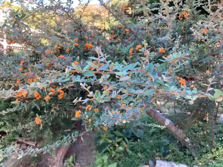 龍寳寺(龍宝寺)(神奈川県)