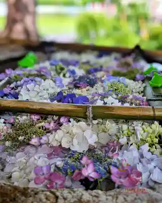 立志神社(滋賀県)