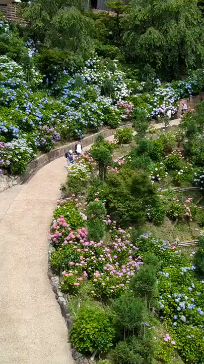 善峯寺(京都府)