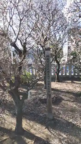 小村井 香取神社の庭園