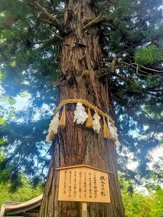 諏訪大社下社秋宮(長野県)