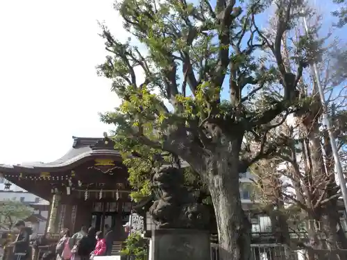 大鳥神社(東京都)