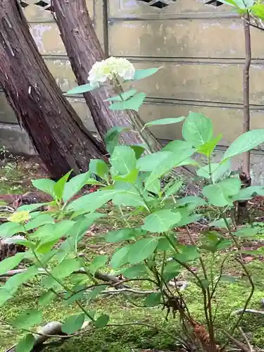 寿福寺(神奈川県)