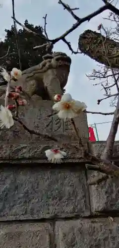 大生郷天満宮の狛犬