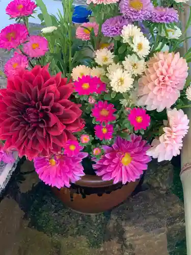 高司神社〜むすびの神の鎮まる社〜の手水舎