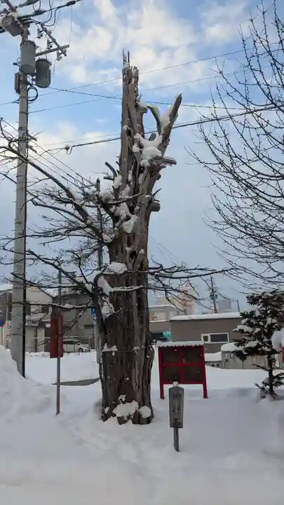旭川銀座弁天神社の自然