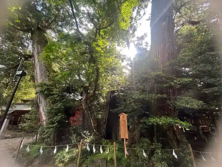 香取神宮(千葉県)
