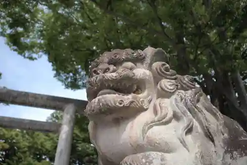 安積國造神社の狛犬